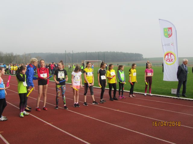 sztaf 10